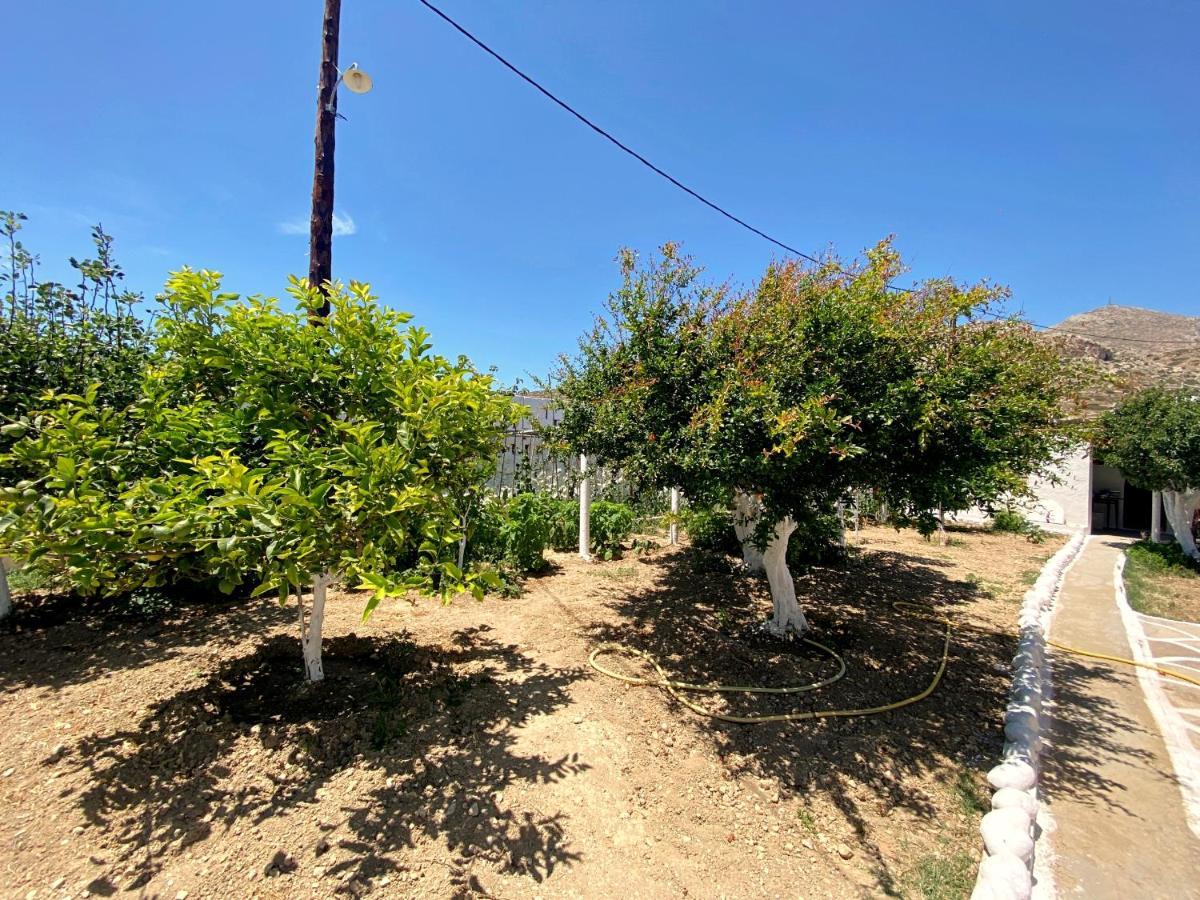 Michail Suites Afiartis Karpathos Buitenkant foto
